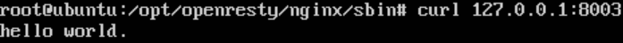 openresty运行测试