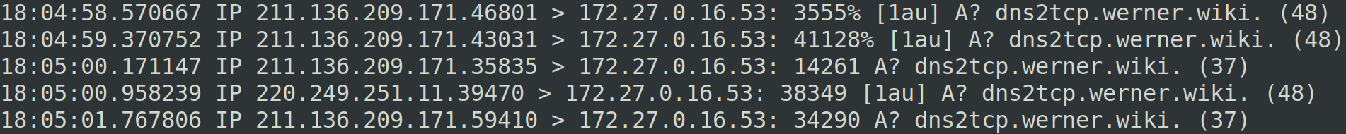 抓到的DNS查询数据包