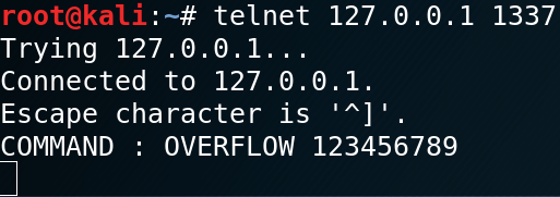 COMMAND为“OVERFLOW 123456789”
